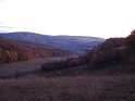Toamna 2009 017